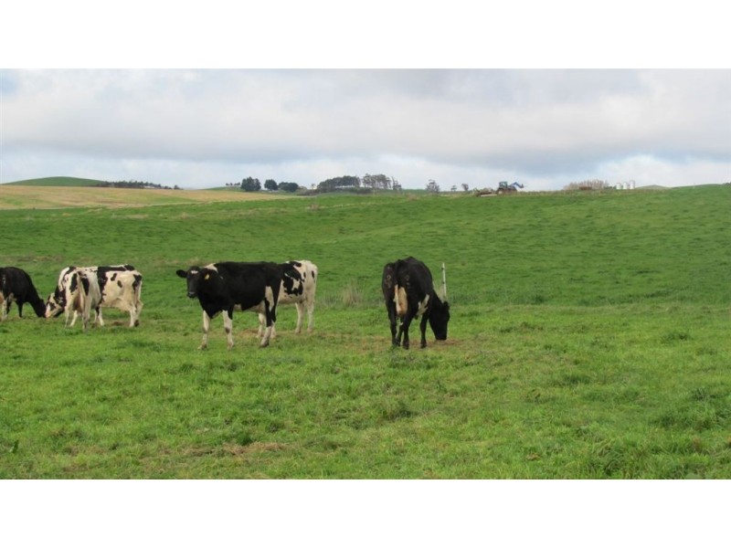 79 Wagners Road “Mountainview”, Winnaleah TAS 7265