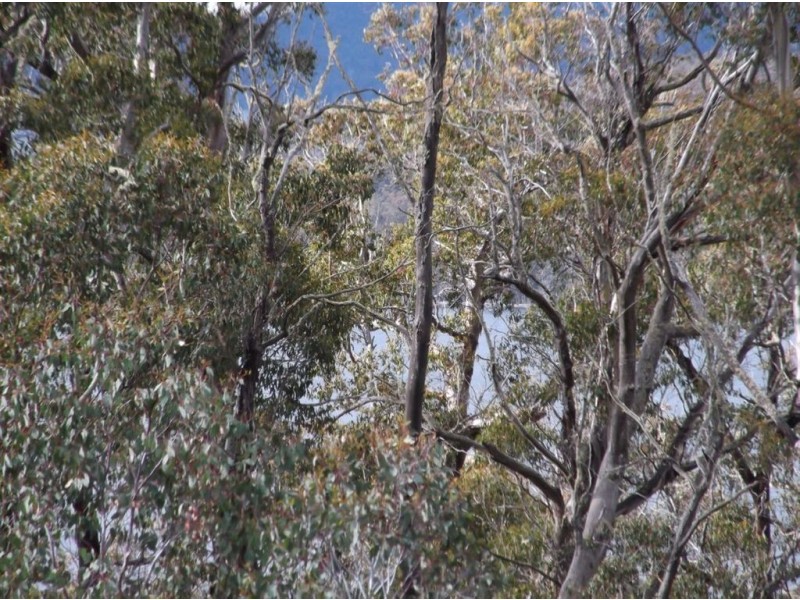 Lot 2 Poatina Road, Arthurs Lake TAS 7030