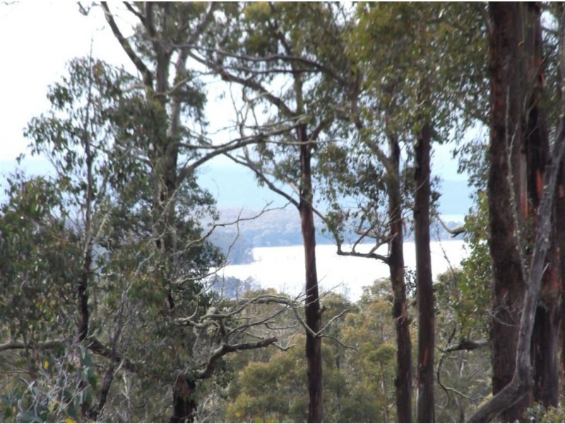 Lot 3 Poatina Road, Arthurs Lake TAS 7030
