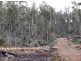 Lot 4 Poatina Road, Arthurs Lake TAS 7030