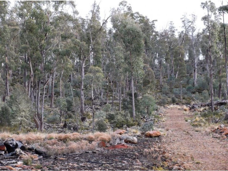 Lot 4 Poatina Road, Arthurs Lake TAS 7030