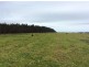 Symons Property, Musselroe Road, Musselroe Bay TAS 7264
