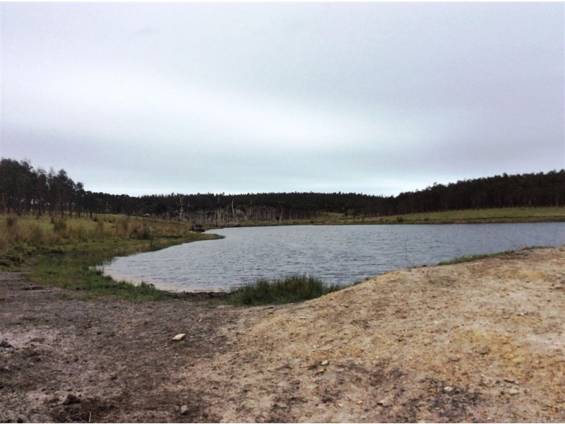 Symons Property, Musselroe Road, Musselroe Bay TAS 7264