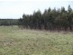 Symons Property, Musselroe Road, Musselroe Bay TAS 7264