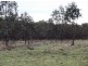 Symons Property, Musselroe Road, Musselroe Bay TAS 7264
