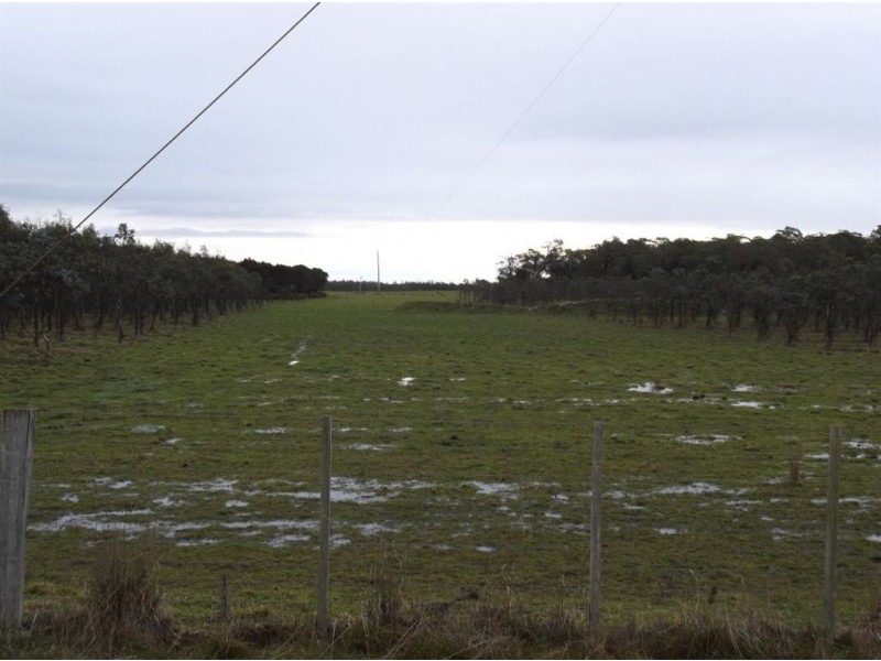 Symons Property, Musselroe Road, Musselroe Bay TAS 7264