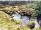 Symons Property, Musselroe Road, Musselroe Bay TAS 7264