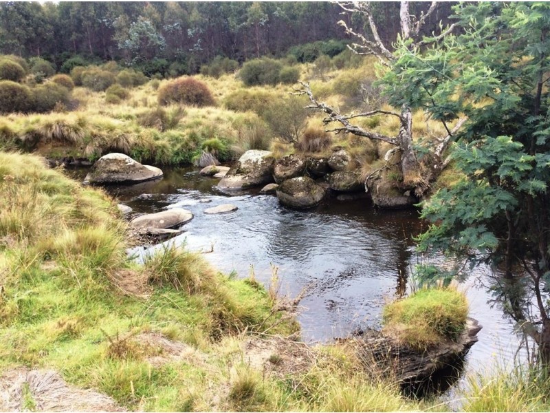 Symons Property, Musselroe Road, Musselroe Bay TAS 7264