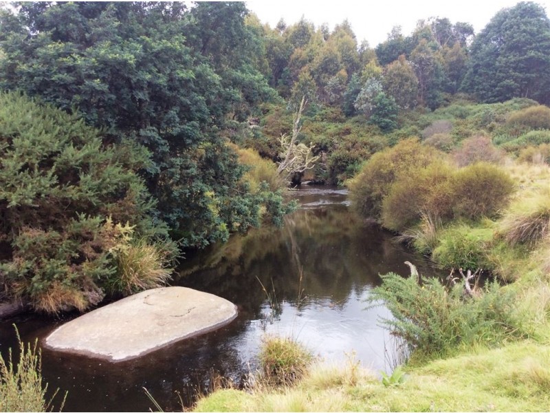 Symons Property, Musselroe Road, Musselroe Bay TAS 7264