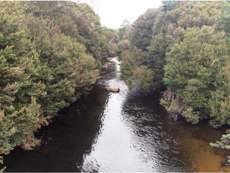 Symons Property, Musselroe Road, Musselroe Bay TAS 7264