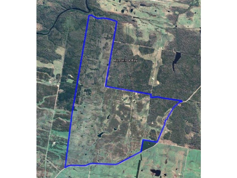 Symons Property, Musselroe Road, Musselroe Bay TAS 7264