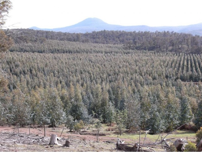 Williams Road, Royal George TAS 7213