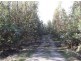 Williams Road, Royal George TAS 7213