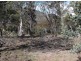 Williams Road, Royal George TAS 7213