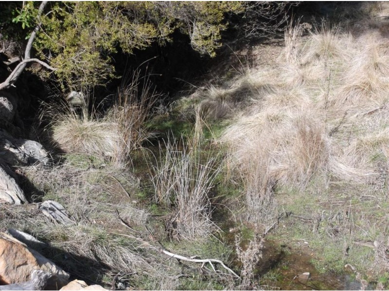 Williams Road, Royal George TAS 7213