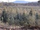 Williams Road, Royal George TAS 7213