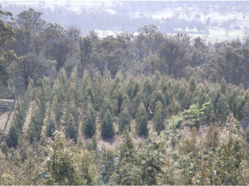 Williams Road, Royal George TAS 7213