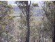 Williams Road, Royal George TAS 7213