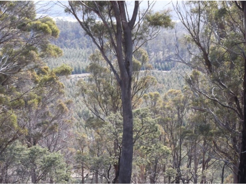 Williams Road, Royal George TAS 7213
