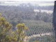 Williams Road, Royal George TAS 7213
