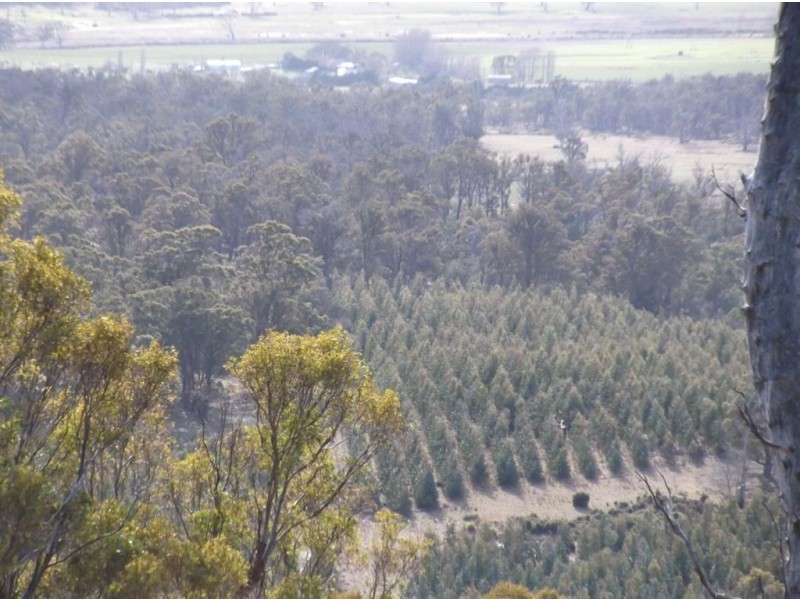 Williams Road, Royal George TAS 7213
