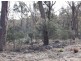 Williams Road, Royal George TAS 7213