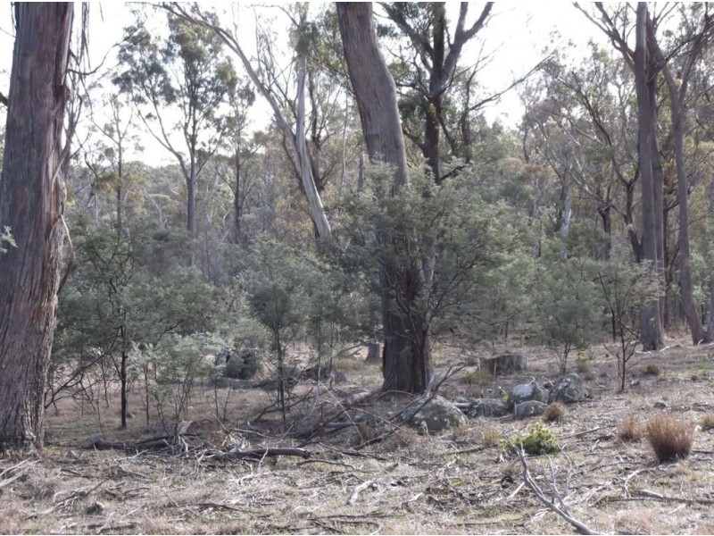 Williams Road, Royal George TAS 7213