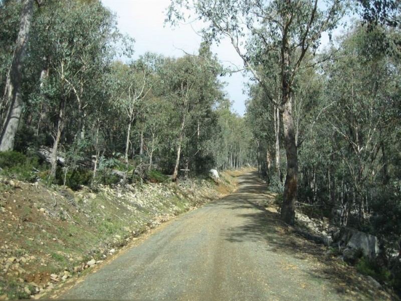 2783ha Waddamana, Waddamana TAS 7030