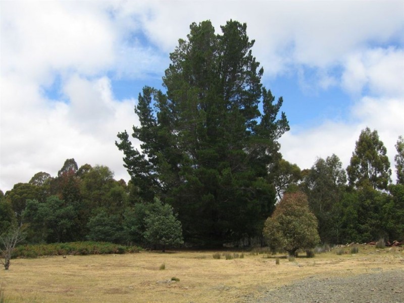 2783ha Waddamana, Waddamana TAS 7030