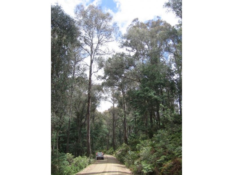 2783ha Waddamana, Waddamana TAS 7030