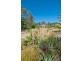 447 Native Corners Road, Campania TAS 7026