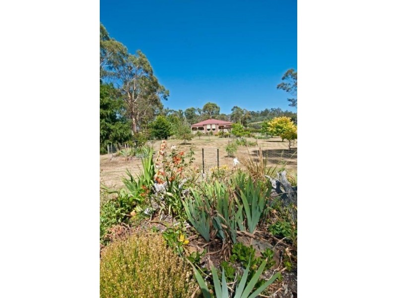 447 Native Corners Road, Campania TAS 7026