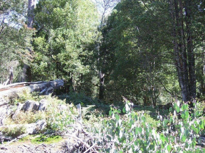 Daisy Dell Cradle Mountain Road, Cradle Mountain TAS 7306
