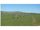 911 Esk Main Road, Conara TAS 7211