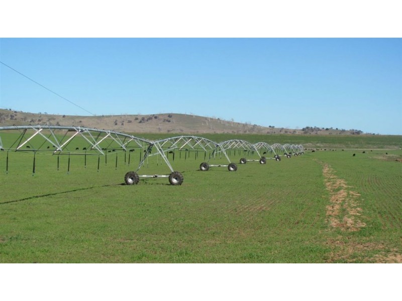 911 Esk Main Road, Conara TAS 7211