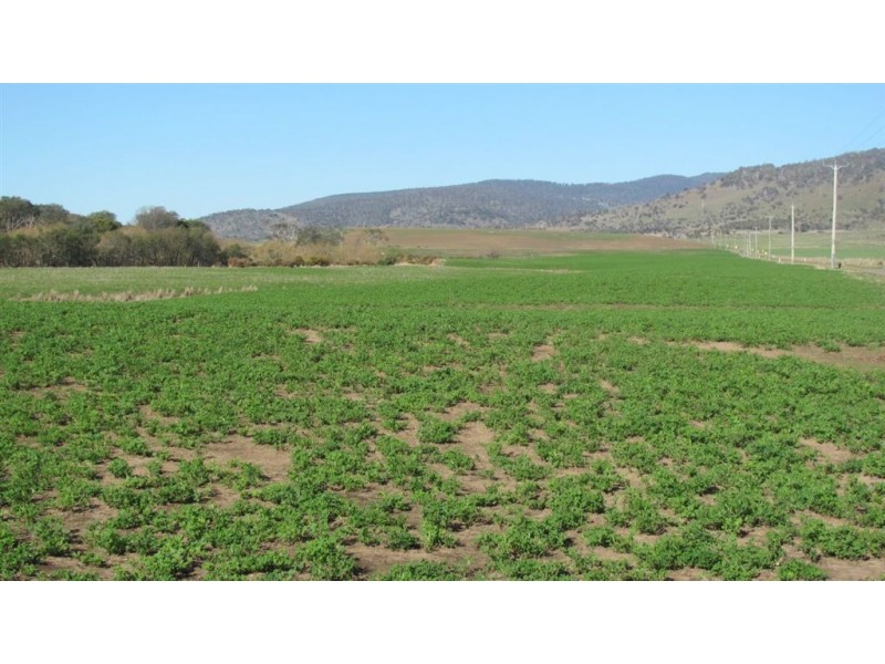 911 Esk Main Road, Conara TAS 7211