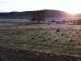 911 Esk Main Road, Conara TAS 7211