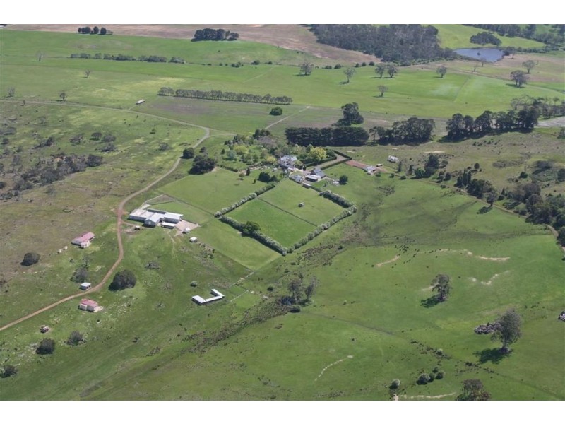 91 Blessington Rd, St Leonards TAS 7250