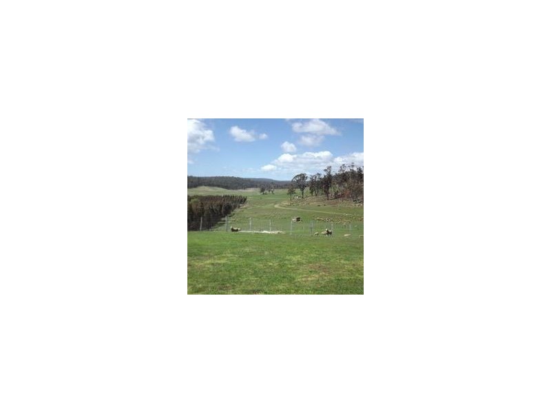 188 Tin Pot Marsh Road, Woodsdale TAS 7120
