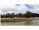 - Tunbridge Tier Road, Tunbridge TAS 7120
