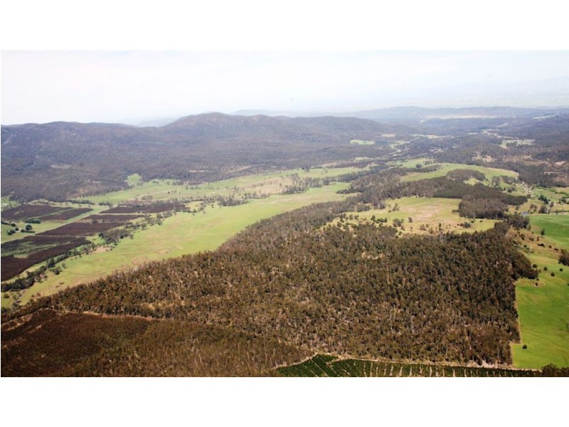 482 Patersonia Road, Patersonia TAS 7259