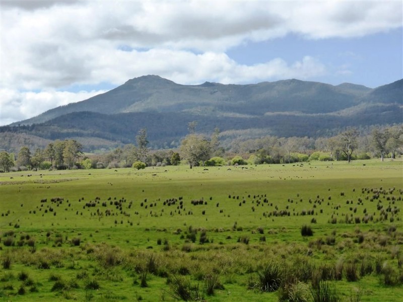 482 Patersonia Road, Patersonia TAS 7259