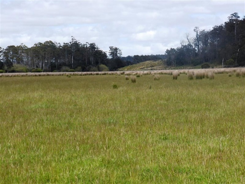 482 Patersonia Road, Patersonia TAS 7259