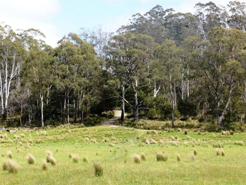482 Patersonia Road, Patersonia TAS 7259