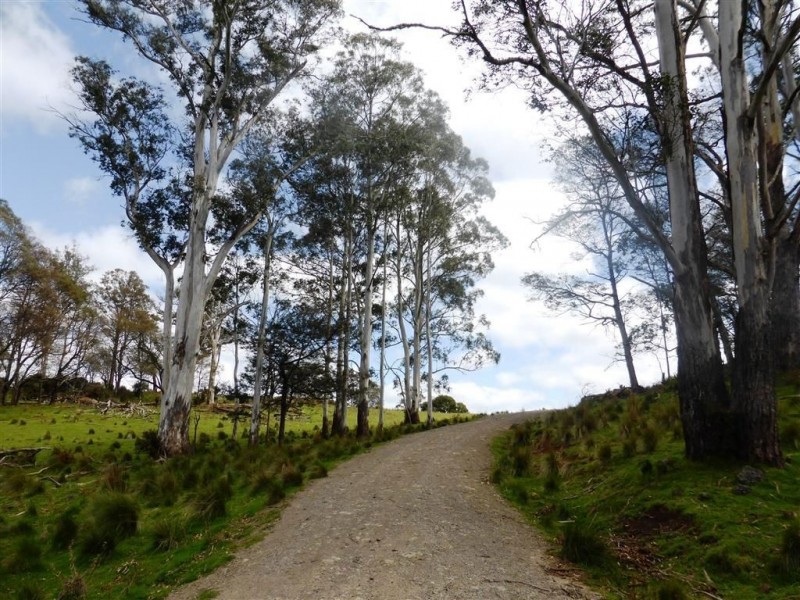 482 Patersonia Road, Patersonia TAS 7259