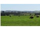 Lot 1 Whitemore Road, Whitemore TAS 7303