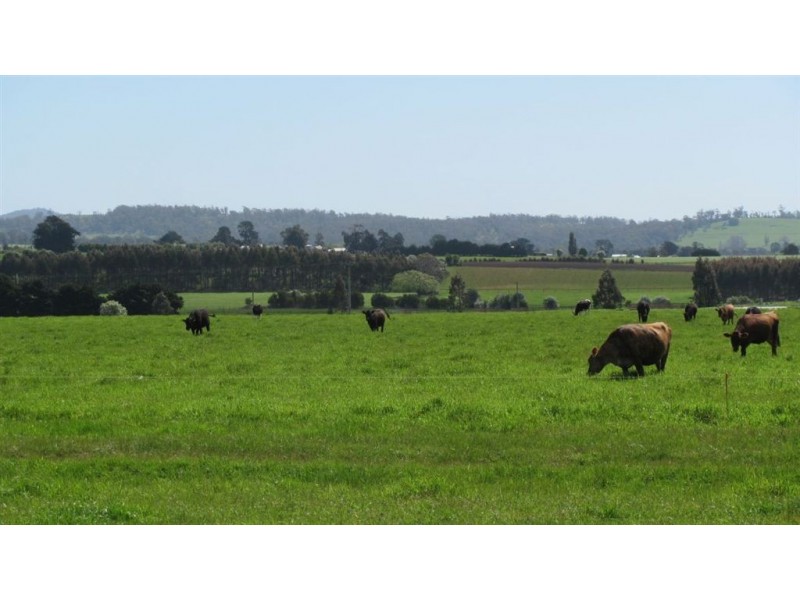 Lot 1 Whitemore Road, Whitemore TAS 7303