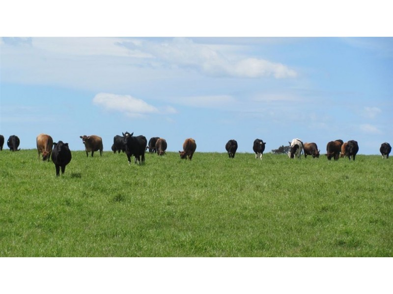 Lot 1 Whitemore Road, Whitemore TAS 7303