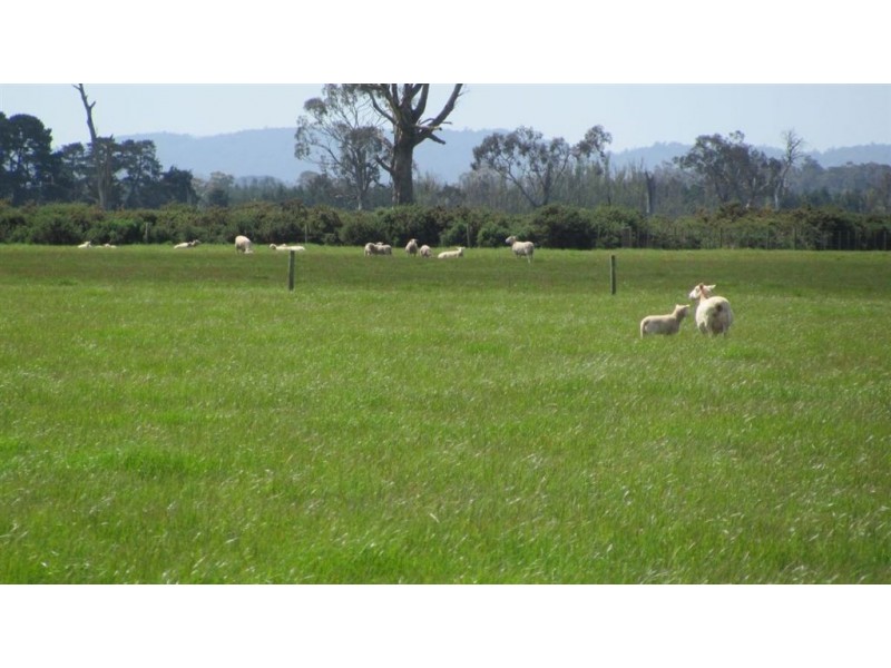 Lot 1 Whitemore Road, Whitemore TAS 7303