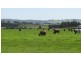 Lot 1 Whitemore Road, Whitemore TAS 7303